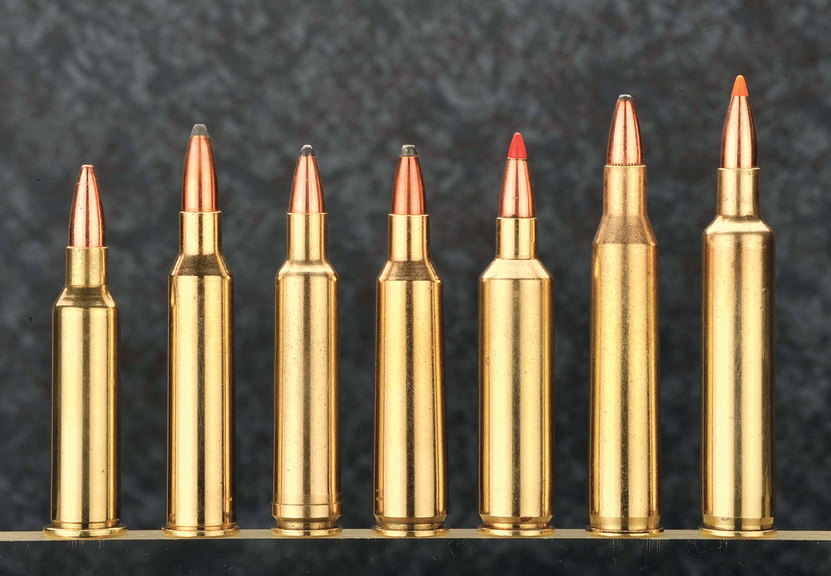 Classic .22-caliber varmint cartridges, from left: 219 Donaldson Wasp, 225 Winchester, 224 Weatherby Magnum, 22-250 Remington, 22-250 Improved, 220 Swift and the 220 Weatherby Rocket.